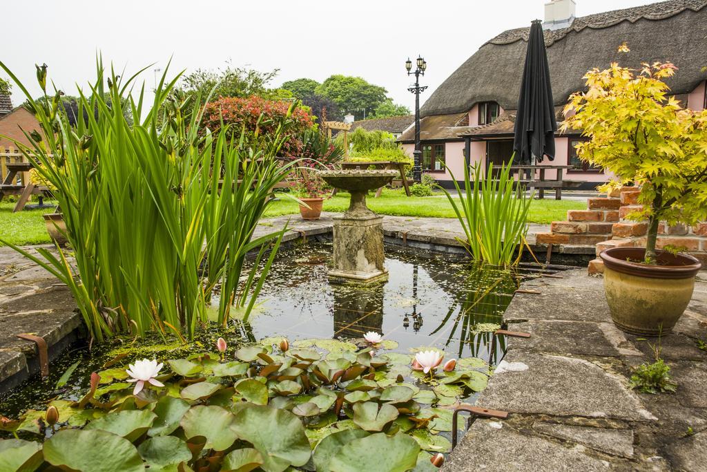 The Anvil Inn Blandford Forum Exteriér fotografie